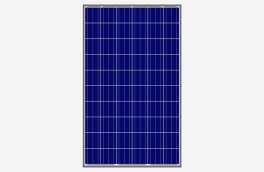 Panel-Solar-AmeriSolar.jpg